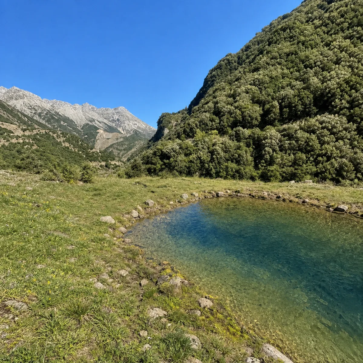 Pamje nga Vajzë Fest 12