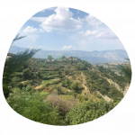 vajze foto6